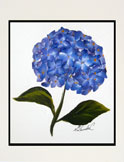 Hand Painted Greeting Cards - Flowers