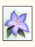 Azalea