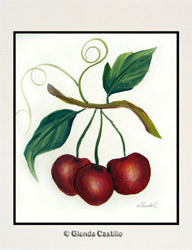 cherries