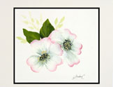 Dogwood Pair Painted Card
