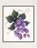 grapes
