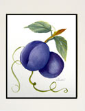 plums