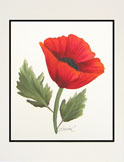 Pretty Poppy Painted Card