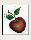 red apple